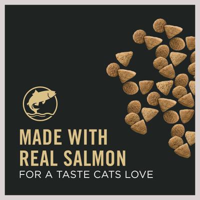 Vital Systems Salmon & Egg Formula 4-in-1 Dry Cat Food, 5-lb bag