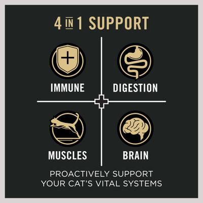 Vital Systems Salmon & Egg Formula 4-in-1 Dry Cat Food, 5-lb bag