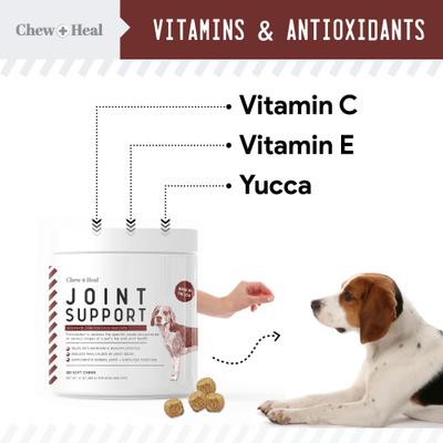 4-IN-1 Support Chews Dog Supplement & Chew + Heal Joint Support Chews Dog Supplement, 240 count