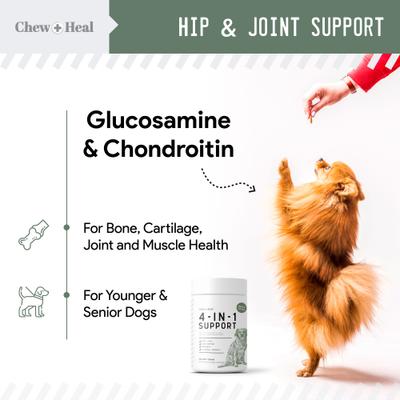 4-IN-1 Support Chews Dog Supplement & Chew + Heal Joint Support Chews Dog Supplement, 240 count