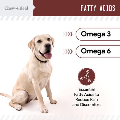 4-IN-1 Support Chews Dog Supplement & Chew + Heal Joint Support Chews Dog Supplement, 240 count