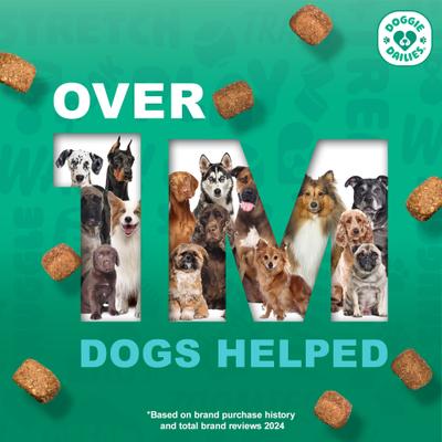 Turkey Flavored Calming Soft Chew Dog Supplement, 225 count