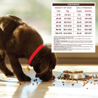 Adult & Puppy Grain-Free Salmon, Anchovy & Sardine Meal Recipe Dry Dog Food, 24-lb bag