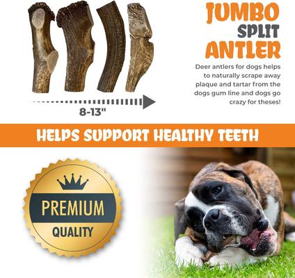 Split Elk Antler Dog Treats, 1 count, Jumbo