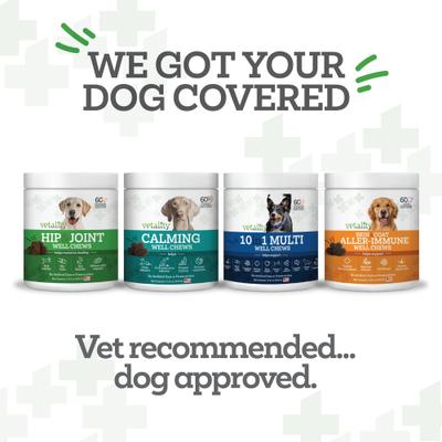 Hip & Joint Well Bites Dog Supplement, 60 count