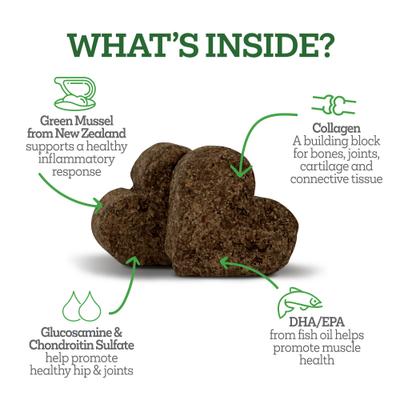 Hip & Joint Well Bites Dog Supplement, 60 count