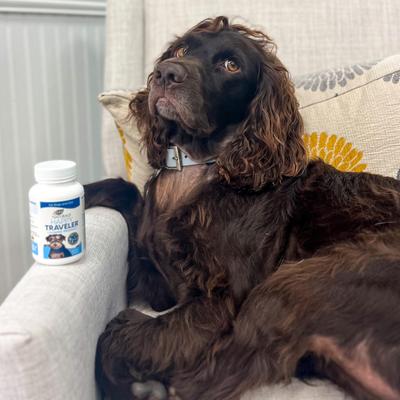 Happy Traveler Capsule Calming Supplement for Dogs & Cats, 30 capsules