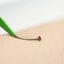 Premium Dog Tick Removal Kit