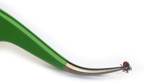 Premium Dog Tick Removal Kit