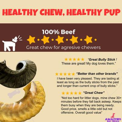 Lamb Horn Dog Bone, 1 count