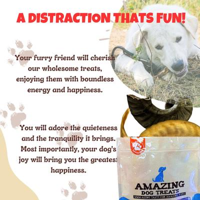 Lamb Horn Dog Bone, 1 count