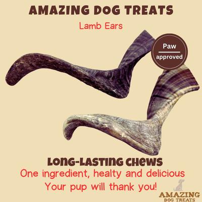 Lamb Horn Dog Bone, 1 count