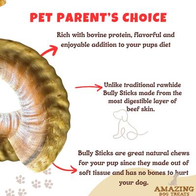 Lamb Horn Dog Bone, 1 count