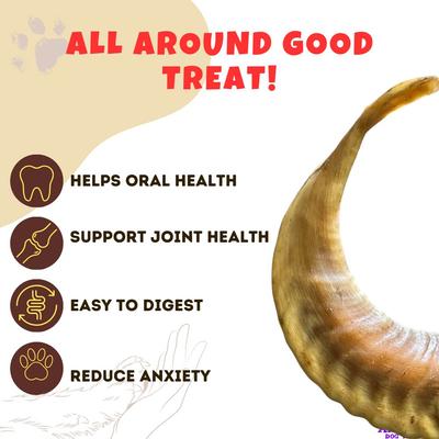 Lamb Horn Dog Bone, 1 count