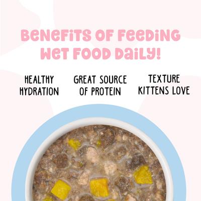 Comida húmeda para gatos Kitten Pawsome Purrs, lata de 2.8 oz, caja de 12