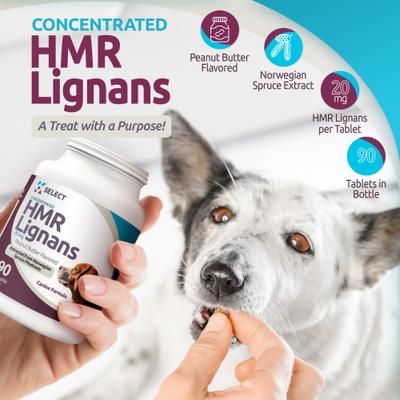 Peanut Butter HMR Lignans Dog Hormone Supplement, 20 mg, 90 count