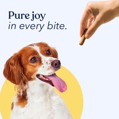 Premios para perros Jerky Bites con sabor a pollo, sin cereales, bolsa de 7.8 oz