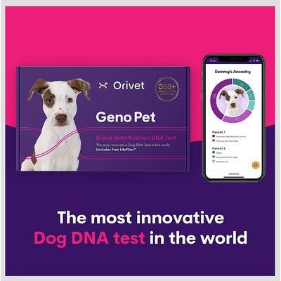 Orivet Geno Pet Dog DNA Breed Identification Test