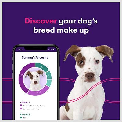 Geno Pet Dog DNA Breed Identification Test