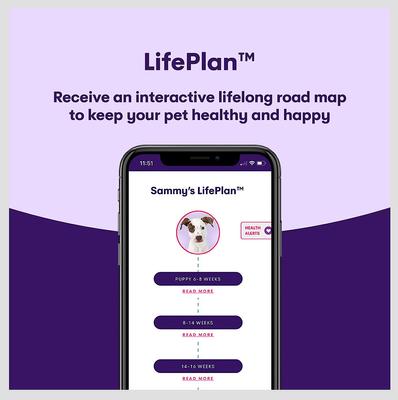 Geno Pet Dog DNA Breed Identification Test