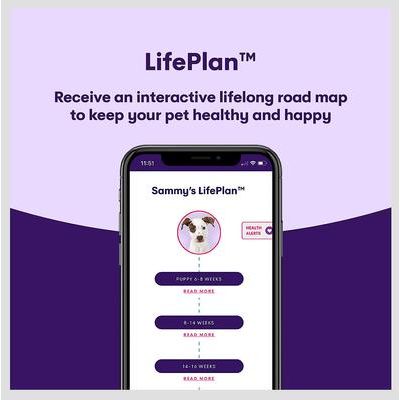 Orivet Geno Pet Dog DNA Breed Identification Test