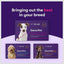 Geno Pet Dog DNA Breed Identification Test