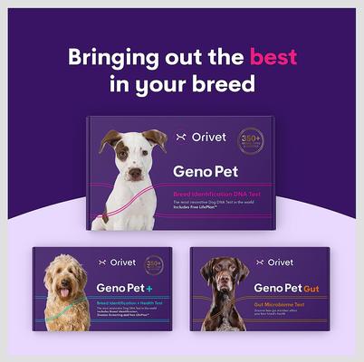 Geno Pet Dog DNA Breed Identification Test