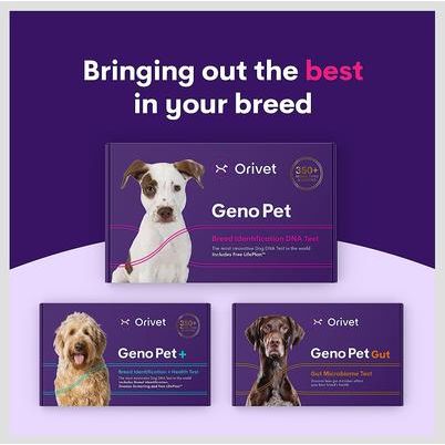 Orivet Geno Pet Dog DNA Breed Identification Test