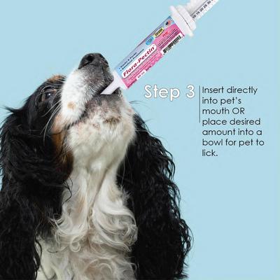 Chicken Flavored Oral Gel Digestive Aid for Dogs & Cats, 60-cc