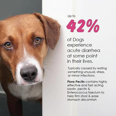 Chicken Flavored Oral Gel Digestive Aid for Dogs & Cats, 60-cc