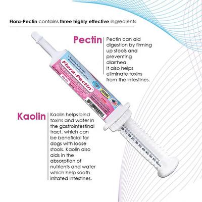 Chicken Flavored Oral Gel Digestive Aid for Dogs & Cats, 60-cc