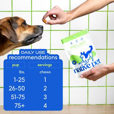 Native Pet, Hip+Joint Inflammatory Care Chews, Mejillón de Labios Verdes + Polifenoles + Cúrcuma + Colágeno, sabor Pollo, Perros, 30 / 60 / 120 masticables