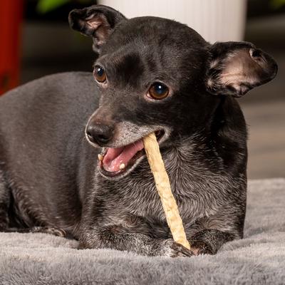 Beefhide Munchy Mini Rolls 5-inch Natural Flavored Dog Hard Chews, 1.5-lb bag