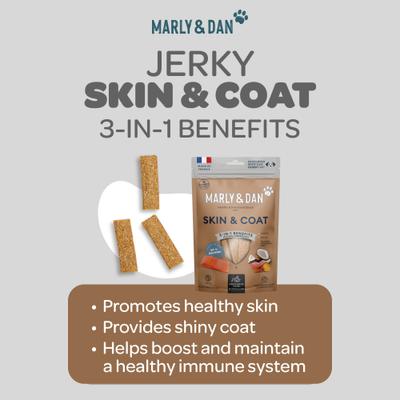 Healthy & Functional Salmon Jerky Treats for Dogs, Skin & Coat Recipe, 6oz bag