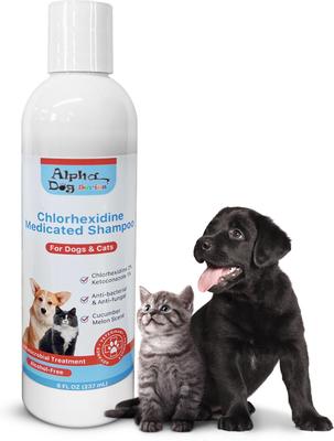 Champú con aroma a clorhexidina y ketoconazol para perros, gatos y mascotas pequeñas, botella de 237 ml (8 onzas líquidas)