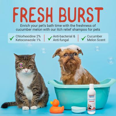 Chlorhexidine & Ketoconazole Scent Dog, Cat & Small Pet Shampoo, 8-fl oz bottle