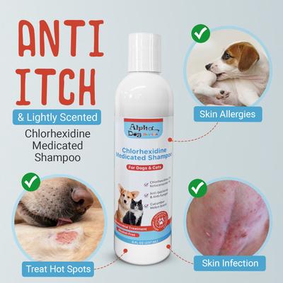Chlorhexidine & Ketoconazole Scent Dog, Cat & Small Pet Shampoo, 8-fl oz bottle