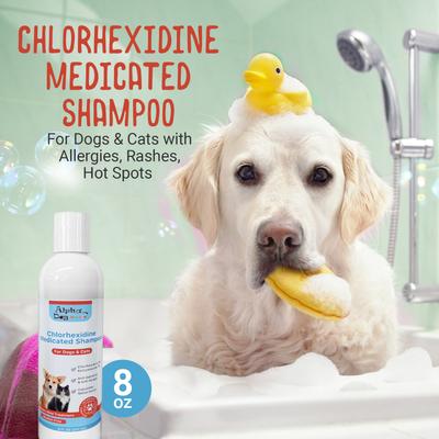 Chlorhexidine & Ketoconazole Scent Dog, Cat & Small Pet Shampoo, 8-fl oz bottle