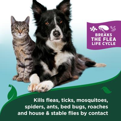 Flea & Tick Cat & Home Cotton Spice Scent Natural Spray for Cats, 32-oz bottle, 2 count
