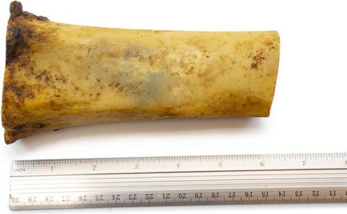 6 to 8-in Meaty Beef Center Cut Bone Dog Treats, Large, 1 count