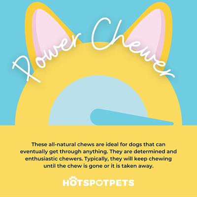 6 to 8-in Meaty Beef Center Cut Bone Dog Treats, Large, 1 count