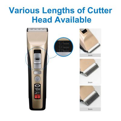 P950 Rechargeable Five-Level Speed Regulation Seat Pet Hair Grooming Clippers, Gold