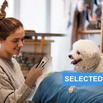 P950 Rechargeable Five-Level Speed Regulation Seat Pet Hair Grooming Clippers, Gold