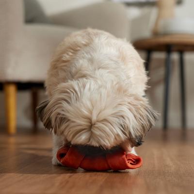 Golosinas para perros DogLicious con sabor a hueso, 5 unidades, 15-18 cm