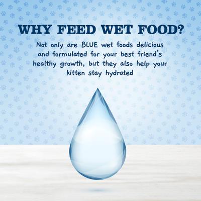 Baby Blue Healthy Growth Formula Natural Multi-Pack Chicken Recipe Kitten Wet Food, 3-oz cans, 6 count