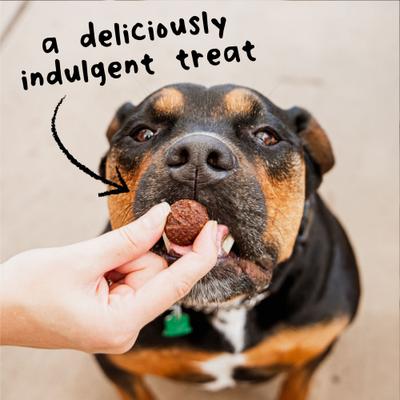 Wag More Bark Less Meatball Bites Italian Beef Recipe Grain-Free Dog Treats, 14-oz bag