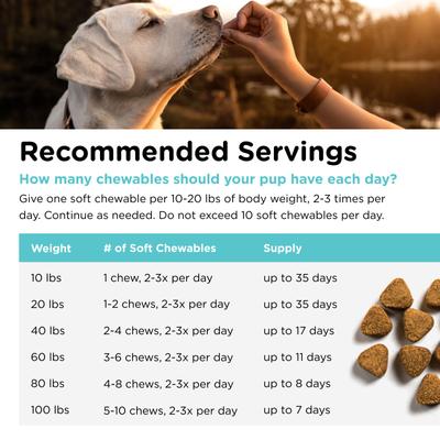Pet-Ease Soft Chews Calming Supplement for Dogs, 6-oz bag