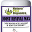 JOINT REVIVAL MAX MASTER BLEND MEAL TOPPER* Neuro Muscular Hip & Joint Support* Cat Supplement, 4-oz jar