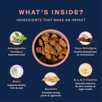 Complete Care Chew Multivitamin for Dogs, 30 count