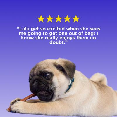 Beef Gullet Sticks Dog Chews, 6-in, 25 count